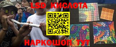 гашик Славгород